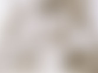 His Master’s Grace 24/07/2018