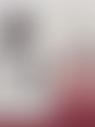 His Master's Grace 14/2/2018