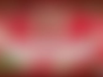 His Master's Grace 9/1/2018