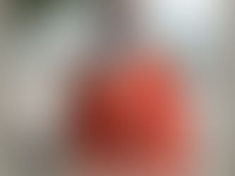 His Master's Grace 3/08/2018