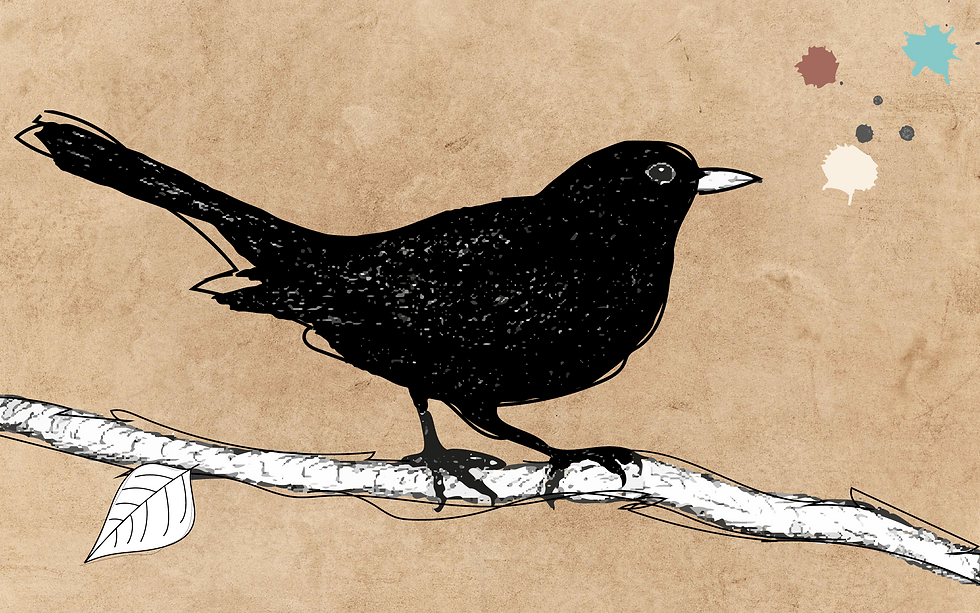 FrauAmsel_headerpix.png