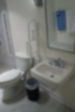 Handicap Bathroom remodel in Northern Virginia, Shulton painting and drywall