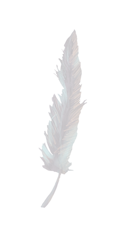 AEnB2UoMgZoMdxqoDj07oIniR1PDoxx2sqQfCE68