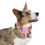 Thumbnail: Pet Bandana Collar