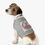 Thumbnail: Pet Tank Top