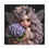 Thumbnail: Hydrangea 5 - Canvas Print - Gallery Style -  Flower Fairies