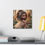 Thumbnail: Sunflower 2  - Canvas Print - Gallery Style -  Flower Fairies