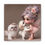 Thumbnail: Pekingese 12 - Canvas Print - Gallery Style -  Fairy Tails
