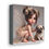Thumbnail: Pug 3 - Canvas Print - Gallery Style -  Fairy Tails
