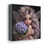 Thumbnail: Hydrangea 5 - Canvas Print - Gallery Style -  Flower Fairies