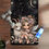 Thumbnail: Capricorn Fairy Serenity Yoga Mat Collection