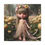 Thumbnail: Ranunculus 1  - Canvas Print - Gallery Style -  Flower Fairies