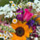 Thumbnail: Spring/Summer Bouquet CSA Subscription