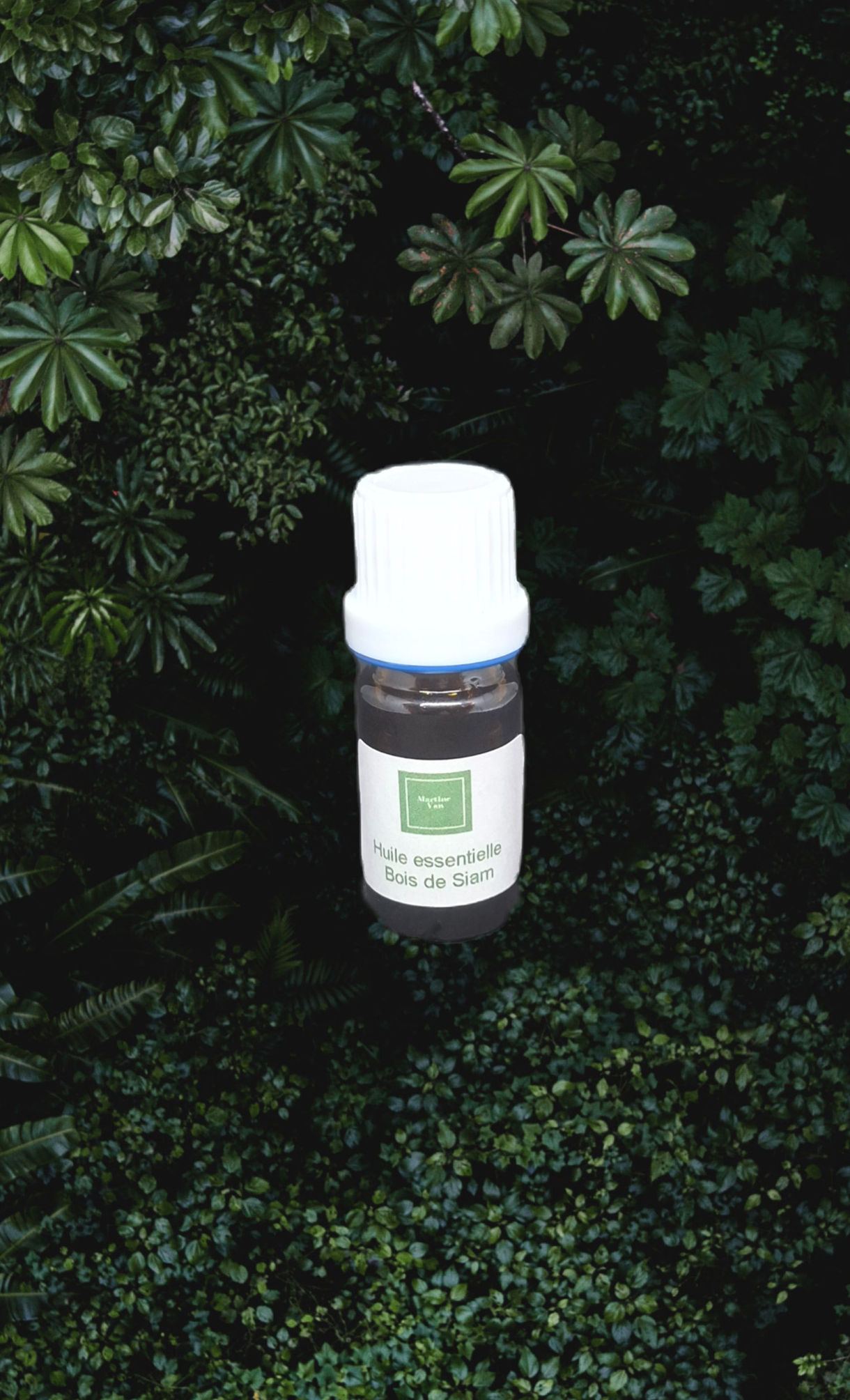Bois de Siam 5 ml