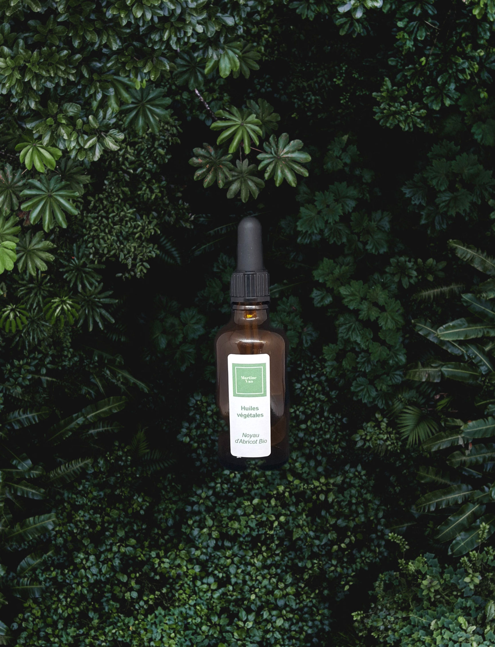 Huile de Noyau d'Abricot Bio 50 ml