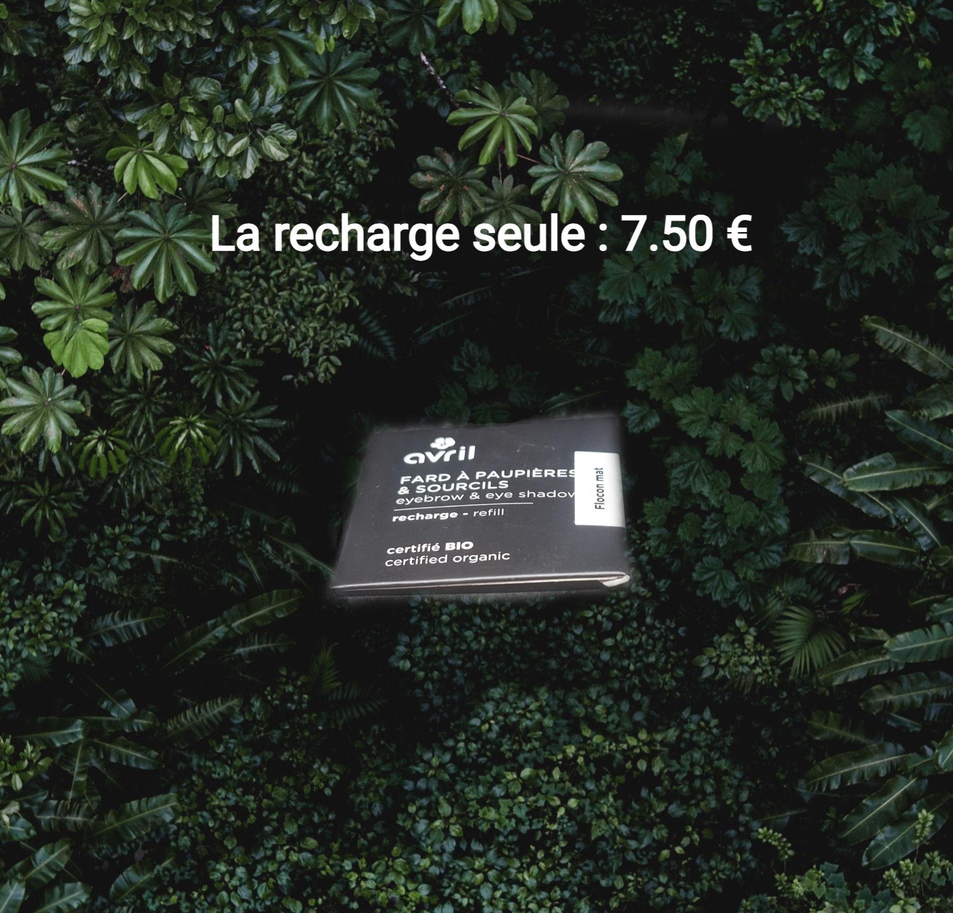 Recharge fard à paupières Flocon mat