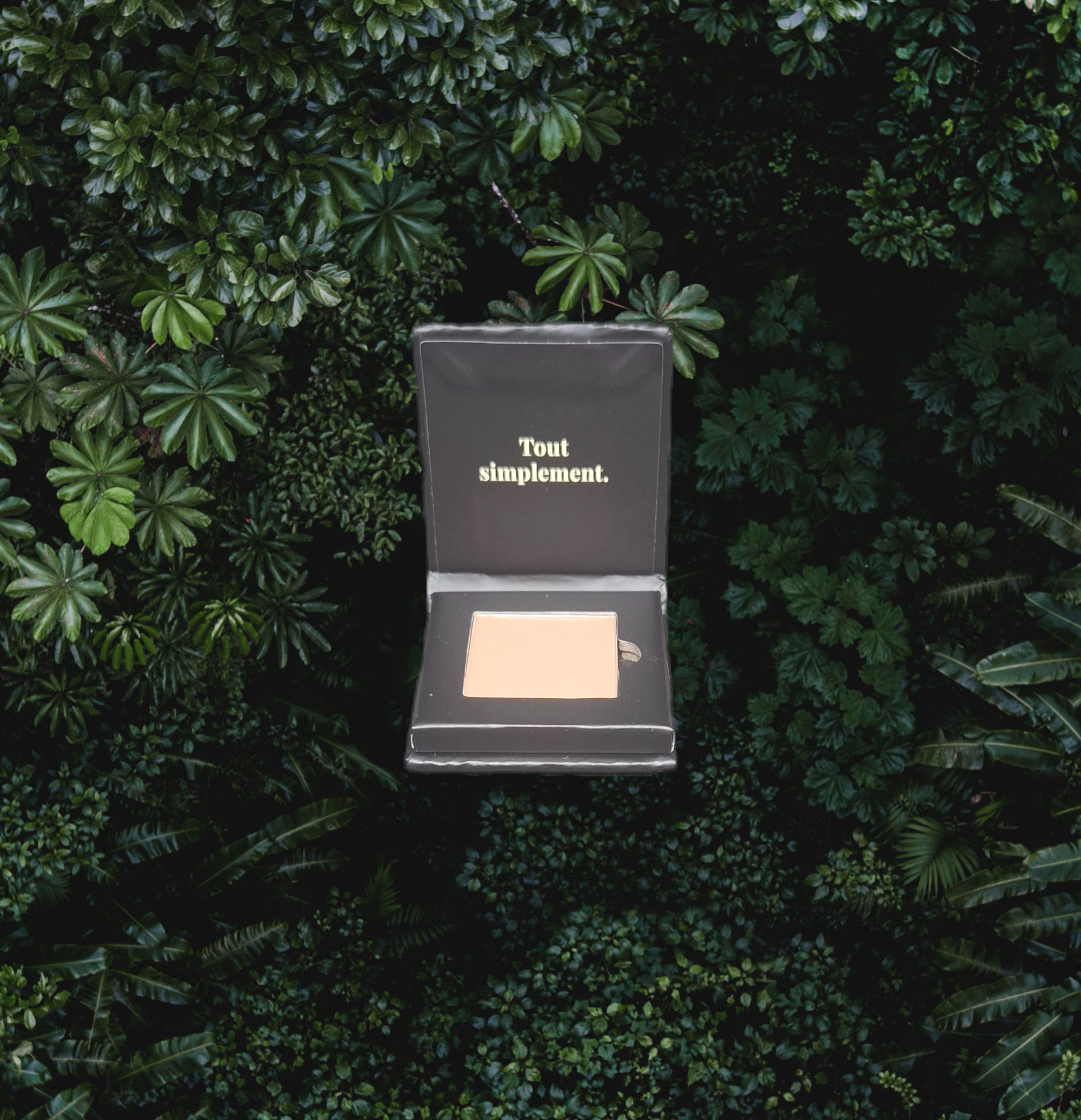 Fard à paupières Fauve mat