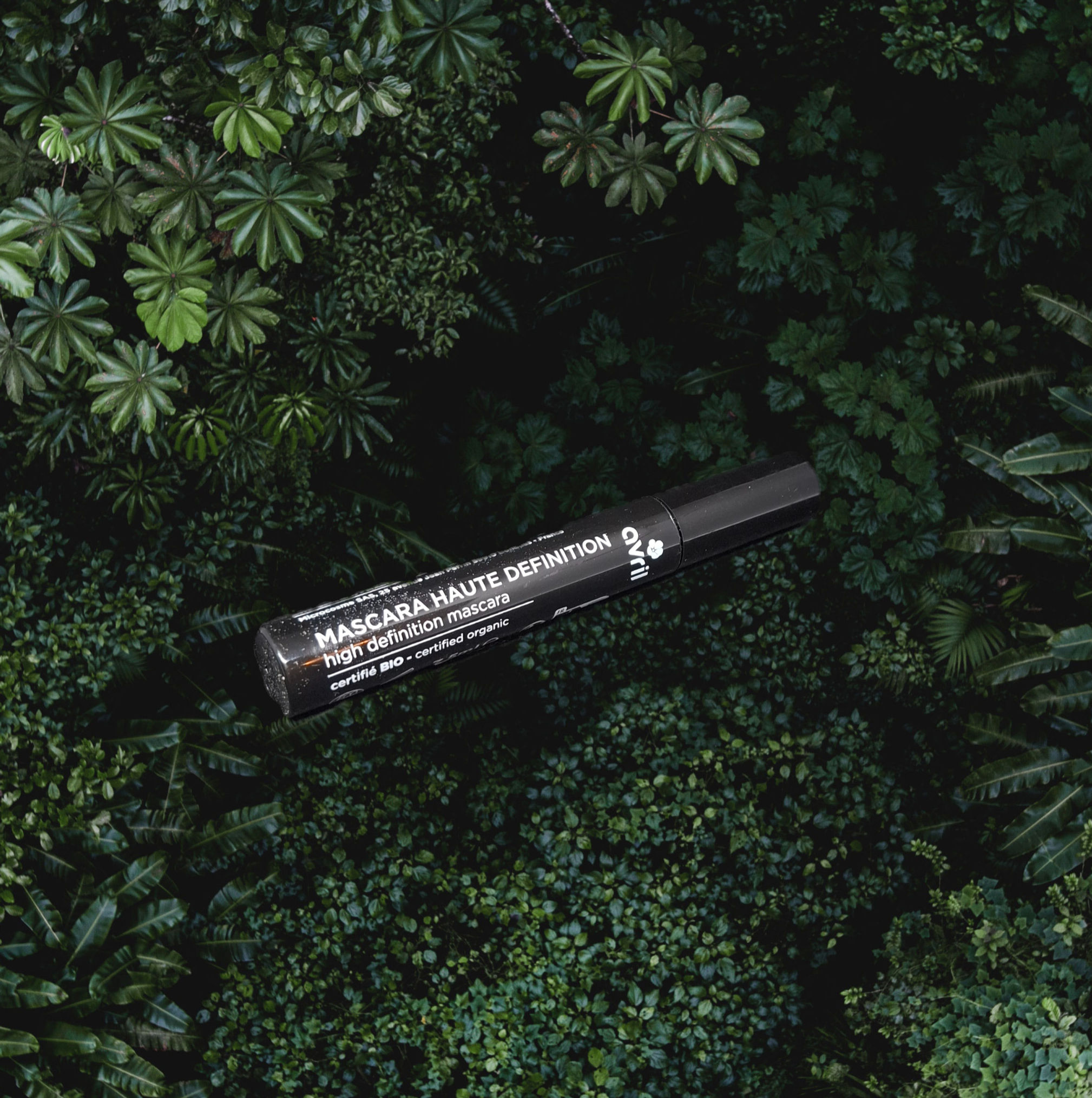 Mascara Haute Définition