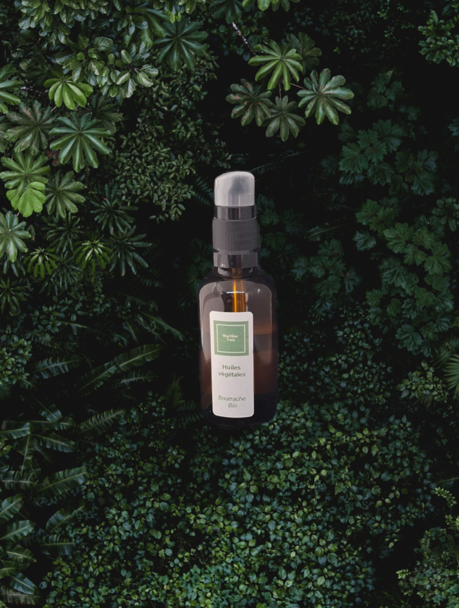 Huile de bourrache Bio 50 ml