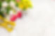 Main Graphic_14 Day_edited.jpg