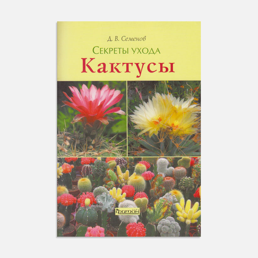 Кактусы. Секреты ухода