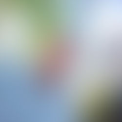 A Psicologia como contribuição para a saúde mental