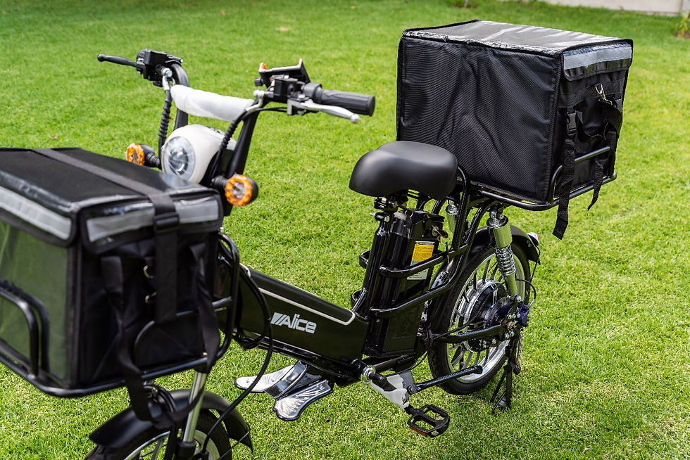 E Cargo Bikes