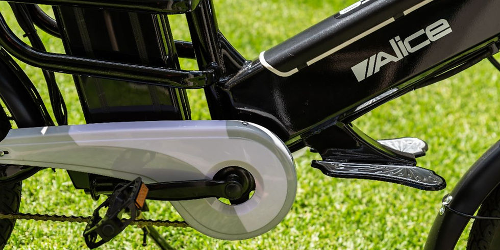 Thumbnail: The E Delivery Bike