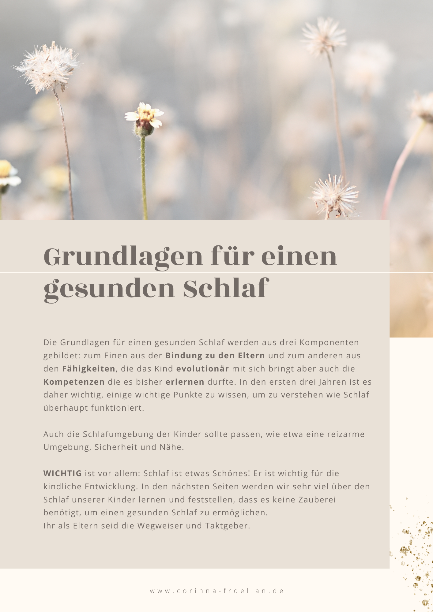 Workbook Grundlagen für einen gesunden Schlaf