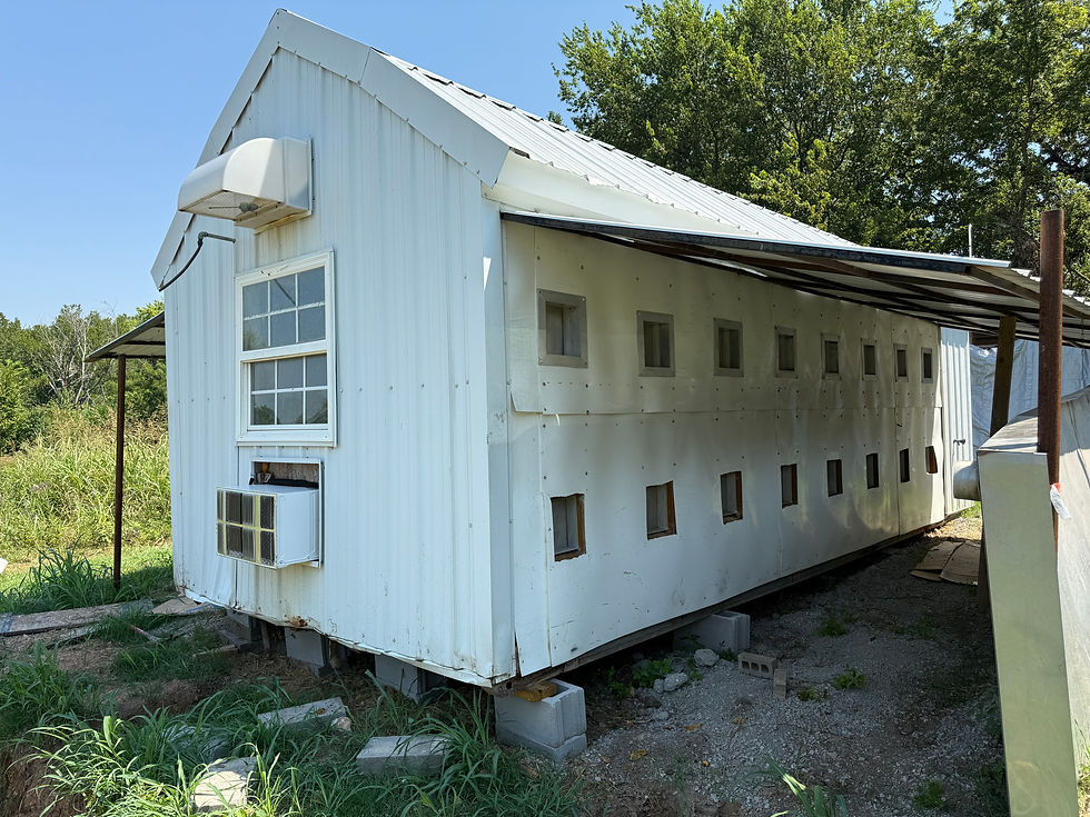 fdbce1_f703cc6e611f4b11b52f56a20d441880~mv2