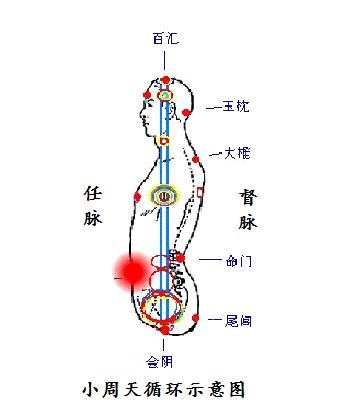 XiaoZhouTian.gif