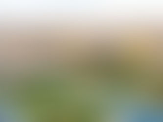 Figuring out how to live a more sustainable life in Riyadh