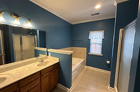 Bathroom Painting