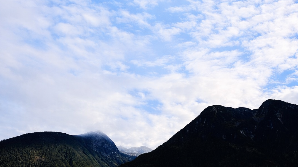 34941B07-1A25-418A-8697-C9124E952A66.png