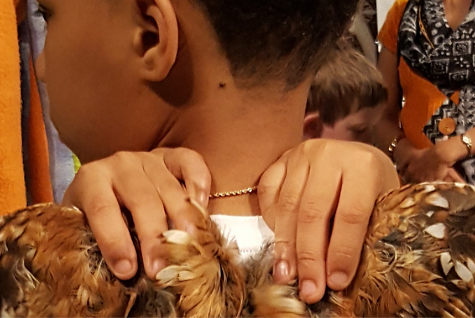 20190420_142043_edited_edited_edited_edi