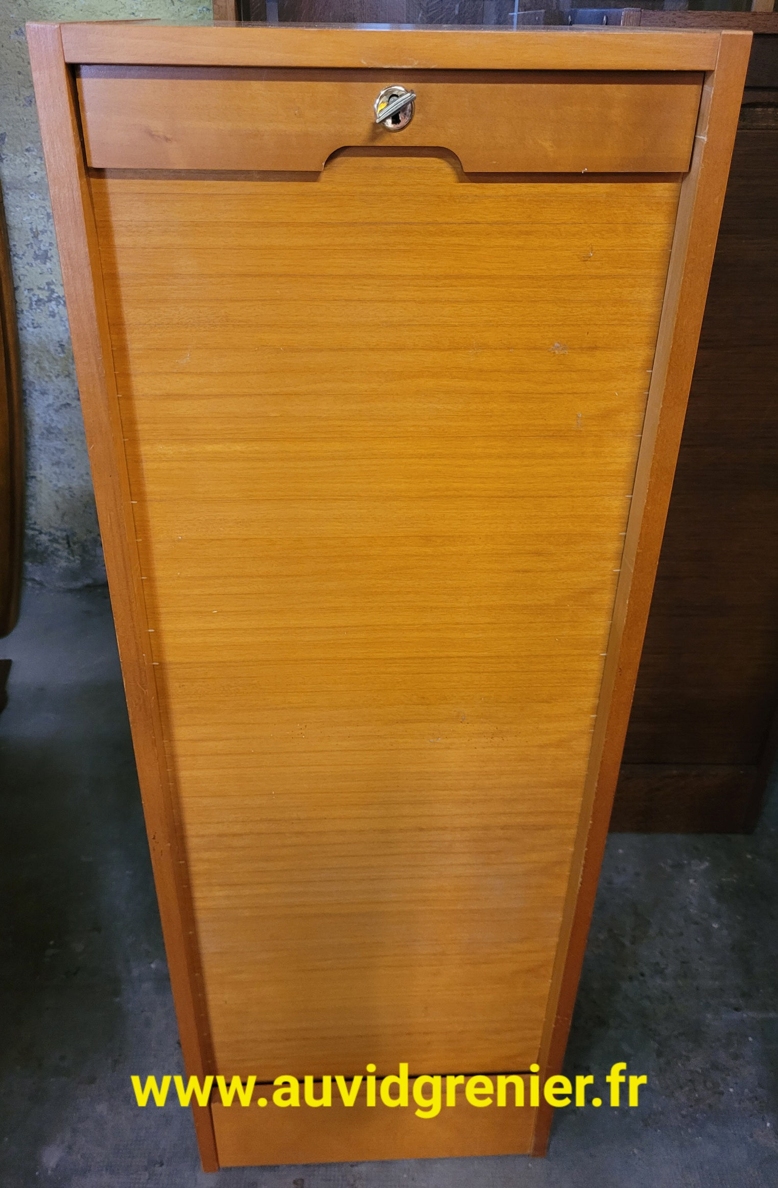 CLASSEUR À RIDEAU TEINTÉ CLAIR