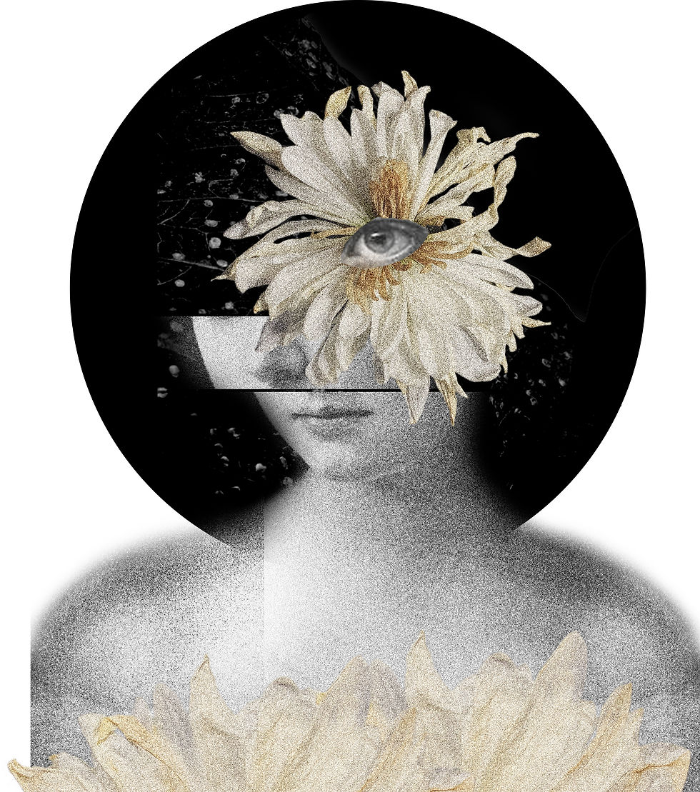 collag.png