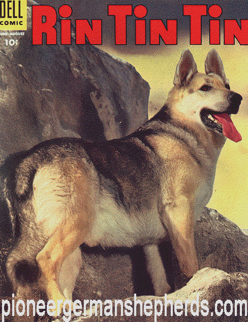 rintintin.gif