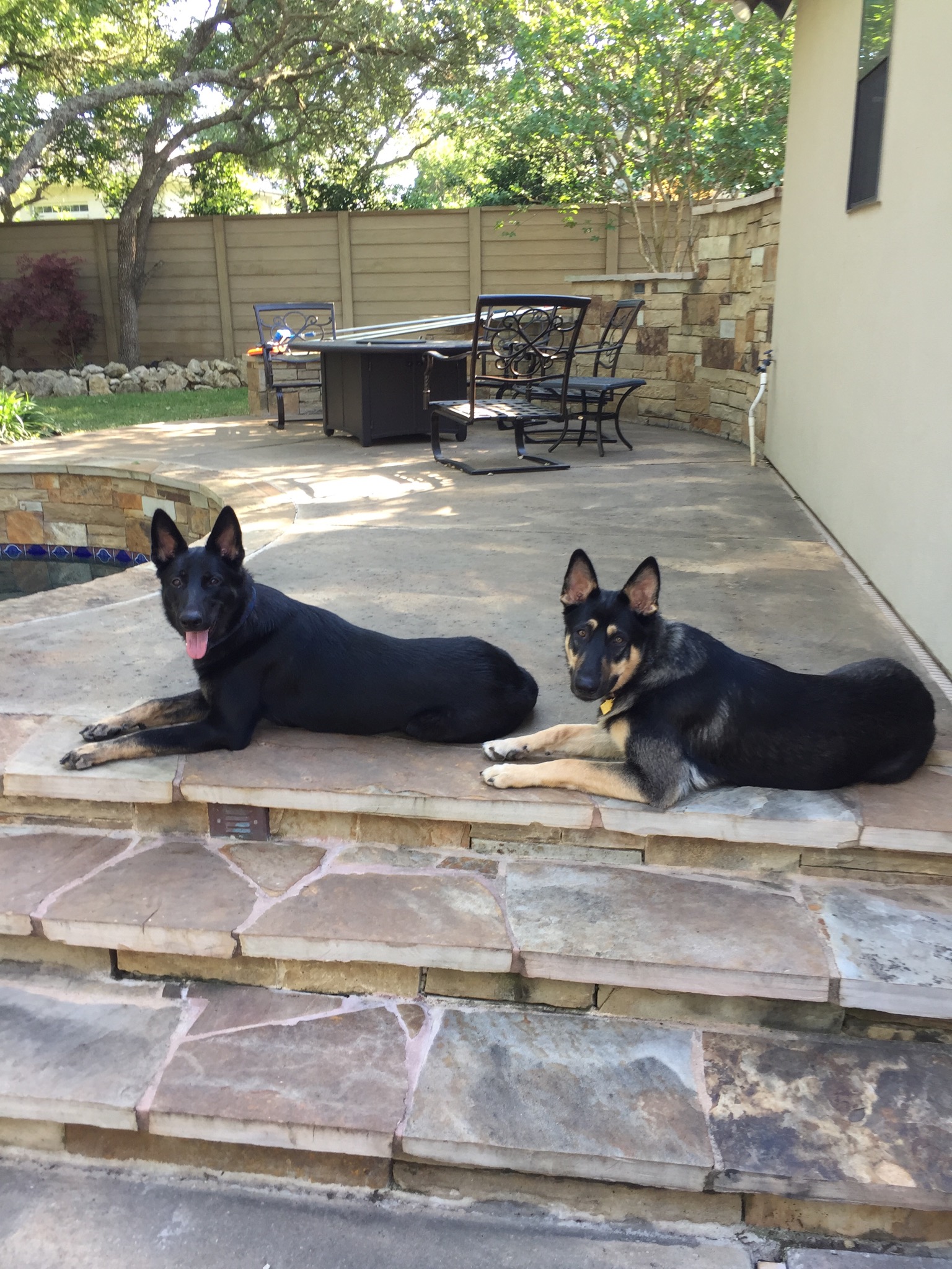 Roma and Hailock sisters