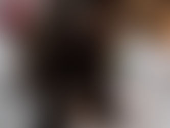 Solid liver boy 5 weeks old radar and fawkes