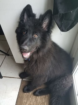 17951643_10212604243365273_7382569305584192375_n