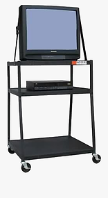 subsitute teacher remember?