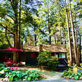 Cozy cabin with red umbrella, surrounded by trees and greenery. Babbling Brook Cottages