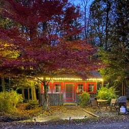Cozy red cabin with string lights, surrounded by trees Babbling Brook Cottages.