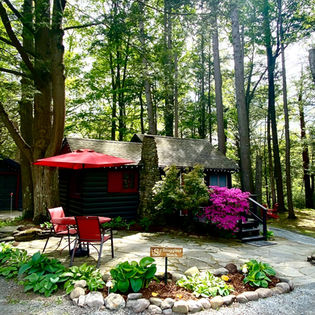 Cozy cabin with red umbrella and table, surrounded by lush trees.
