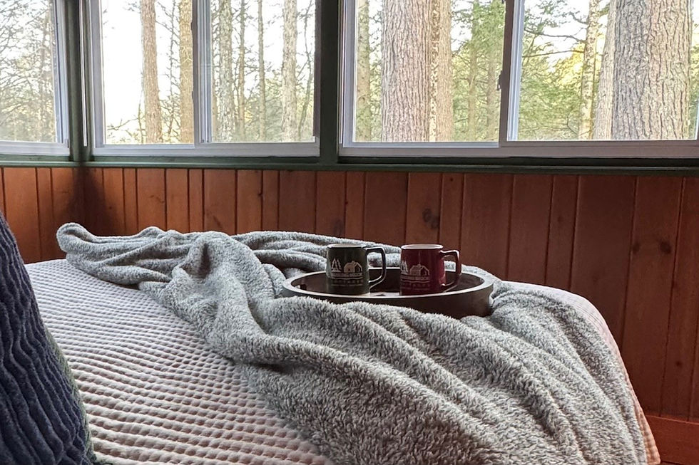 Cozy cabin morning with coffee in bed and forest view through the windows in the Pocono Mountains