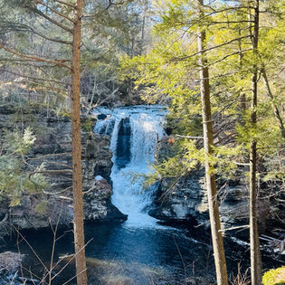 Delaware Water Gap National Recreation Area George W. Childs Park Deer Leap Falls in Spring Babbling Brook Cottages