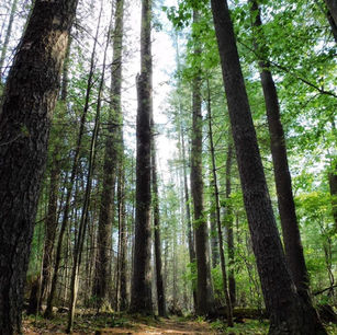 Hiking Trails Delaware Water Gap National Recreation Area