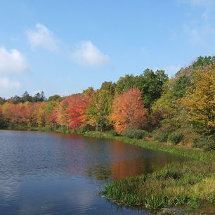 Pocono Environmental Education Center