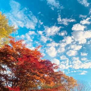 Best Fall Foliage in the Poconos in Dingmans Ferry